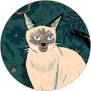 Patrick Bergia profile picture
